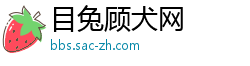 目兔顾犬网